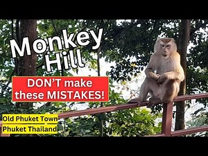 7 Tips Visiting Monkey Hill in Old Phuket Town | Things to do in Phuket Thailand | Solo Travel vlog