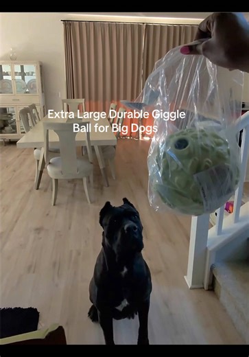 Exciting Giggle Ball for Large Dogs