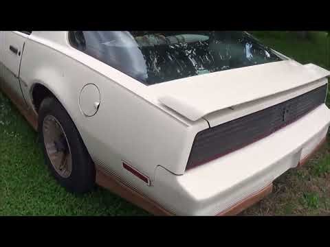 1984 Pontiac Trans Am Dreamgoatinc Hot Rod Classic and Muscle Cars