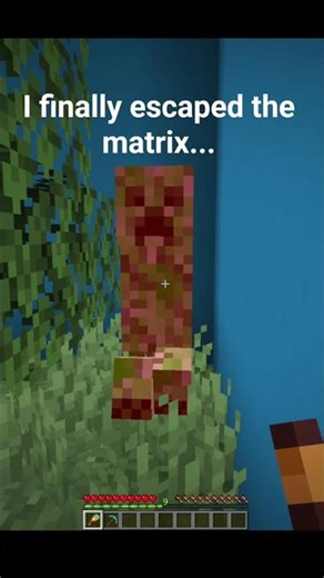 I finally escaped the matrix... #minecraft #shorts
