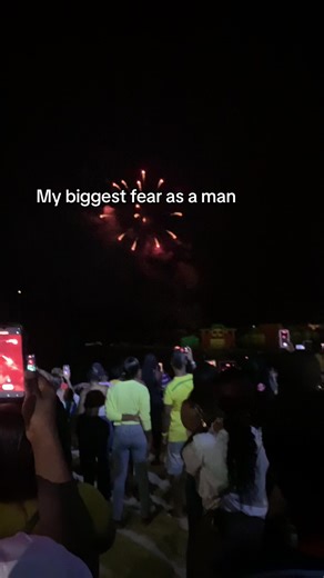 Spectacular Fireworks Display Captivates Diverse Crowd