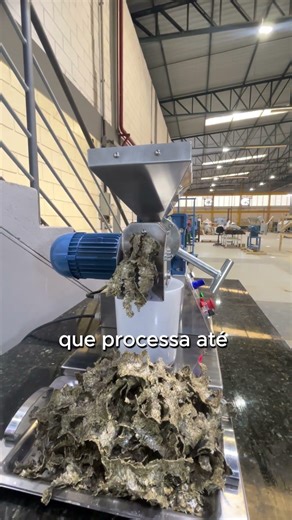 LINHA DE EXTRAÇÃO - ERT36 E FILTRO PRENSA FP 160N2