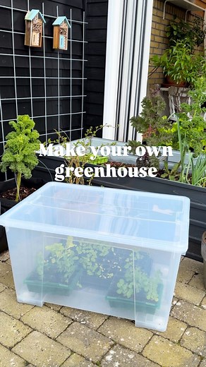 Julie’s Garden on Instagram: "No greenhouse, no problem 😉 Remember to keep the lid open in one side or make holes in the box for air circulation 🌀 . . . #greenhouse #greenhouseinspiration #gardentips #urbangarden #urbanhomestead #gardening #ikeahack"