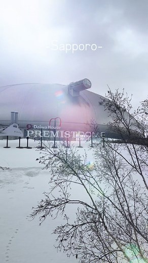 嵐LIVE TOUR 2026「We are ARASHI」白の日特別公演