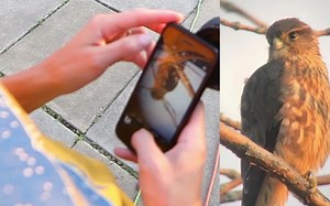 DEEP SKY Astrophotography How To (Using a DSLR Camera)