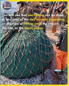Discover How Green Nets Make Fishing Easier and Better for Fishers,😱😲 #fishing | Fun club