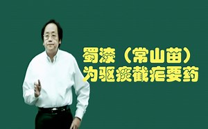 下经——蜀漆（常山苗）的功用：为驱痰截疟要药，主袪老痰积饮，治新久诸疟，能引痰上行使吐，下行使下，逐水消肿，杀虫，疗蛊