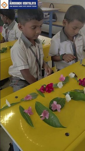 Grade 1 Pattern Activity