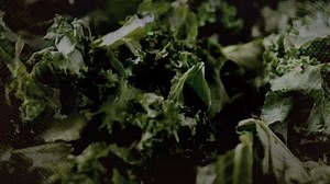 3.2K views · 126 reactions | A new report found the wrappers in 8...