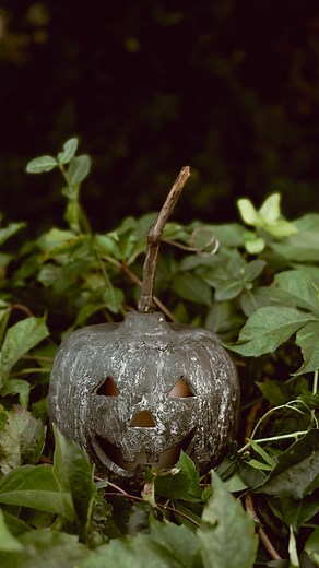 92K views · 270 reactions | Oh, & use a stick for the stem for extra...