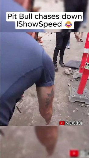 IShowSpeed gets chased by a dog after he barks at a Pit Bull