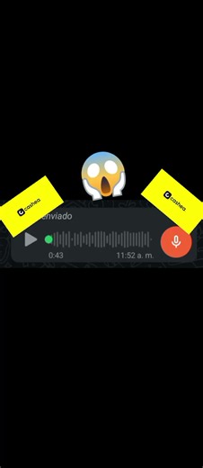 Dramas y Audios de Andreína y Cashea