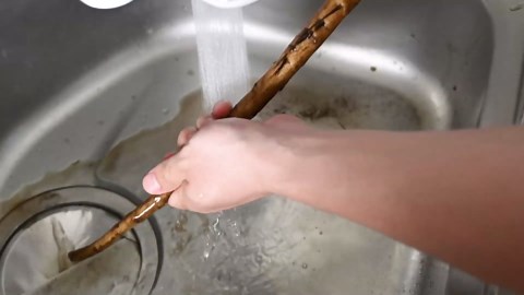 How to Make Kinpira Gobo in Just 20 Minutes 🥕 (Japanese Braised Burdock Root Recipe)