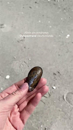 Der schönste Ostseestrand in Deutschland