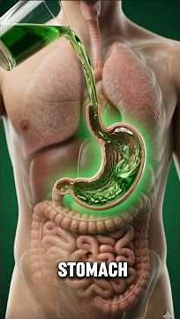 What Liquid Chlorophyll Really Does Inside Your Body🤯