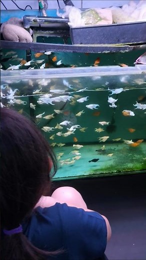 AQUARIUM ADVENTURE FOR KIDS, Learn About Fish & Sea Life – Perfect for Educational Fun #kidsplay