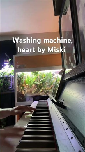 Washing machine, heart #piano #funnymemes ￼
