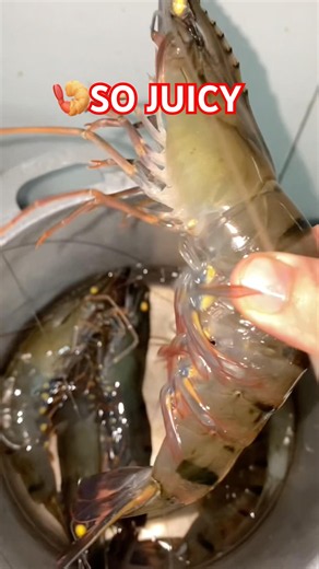 🍤Fresh Shrimp Boil, Satisfying Peel & Juicy Bite #shrimp #asmr