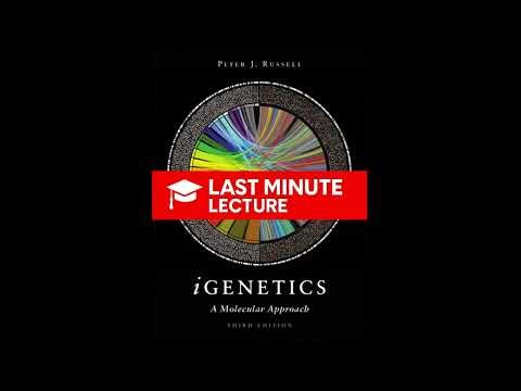 Gene Regulation in Bacteria and Bacteriophages | Chapter 17 – iGenetics: A Molecular Approach (3rd)