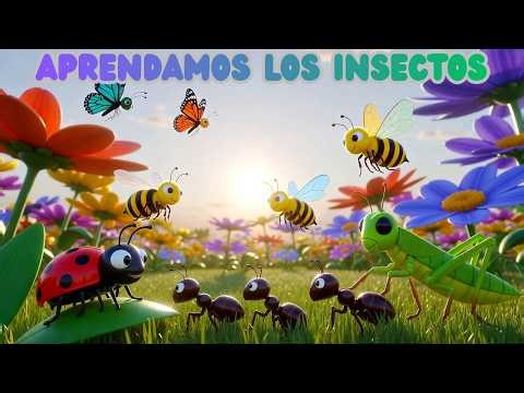 ¡Aprendemos sobre insectos! Canción educativa para niños y preescolar