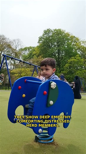 Ever witnessed the incredible bond of elephant families