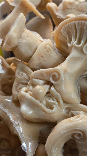 Arizona Renaissance Festival: Magical Production Begins!