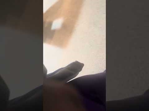 Just talk for the first time on my motivational + financial + biblical channel