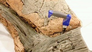 22 reactions | #werbung 20 seconds to set up Discus tank with Backt to Nature #oliverknott #ok_aqua #aquarbell #BacktoNature #BTN #backgrounds #3dbackground #amazonas #aquariumrückwand #amazonasaquarium #amazonastank #amazonasbecken | Oliver Knott | Facebook