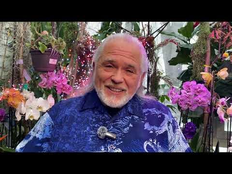 “Thursday and Saturday” – KTFA Frank26 Video Update 2-2-26