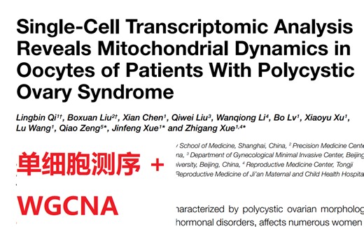 【师兄带你读文献-1】3分生信套路：单细胞测序+WGCNA