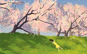 procreate风景保姆级教程