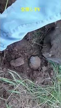 【宝探し】金属探知機で岩の下で見つけた宝物を発見 #トレジャー #お金 #treasure #探検 #metaldetector #トレジャーハンター#金属探知機 #宝探し #shorts