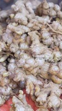 Ginger Root – The Golden Ingredient Of The Kitchen