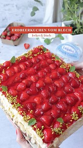 Klassischer Erdbeerkuchen vom Blech 🍓😋 Dieser Erdbeerkuchen vom Blech mit einem einfachen Obstboden und einer leckeren Vanillecreme ist ein echter Klassiker zur Erdbeersaison. 🤩 Der Obstboden ist schnell und einfach zubereitet und wird mit einer lockeren Vanillecreme ergänzt, bevor die halbierten Erdbeeren mit Guss den Abschluss bilden. Zutaten Obstboden 4 Eier 150g Mehl 1 Pck Backpulver 1 EL Zitronensaft 120g Zucker 1 Pck Vanillezucker 40 g Sonnenblumenöl Vanillecreme 500g QuarkCreme Natur v