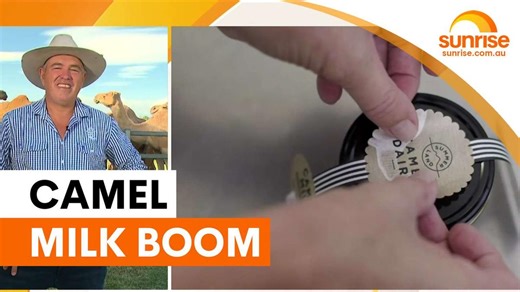 Camel milk crowdfunding targets US market