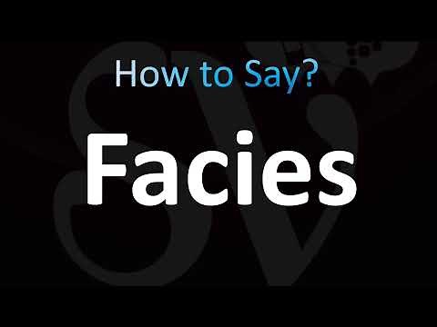 How to Pronounce Facies (CORRECTLY!)