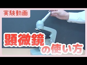 [Experimental video] How to use a microscope