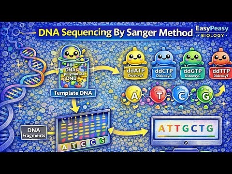 DNA Sequencing By Sanger Method