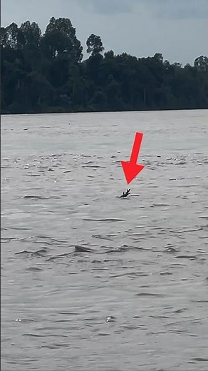 Never Make The Mistake Of Saving This Drowning Person! 😨
