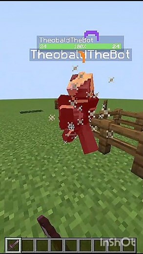 Theobaldbird Full Setup Carpet Pvp Mod #minecraft #shorts