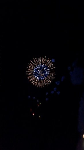 8” Coco Shell Firework#fireworks #fireworksfestival #pyrotechnicsfireworksdisplay #displayfireworks