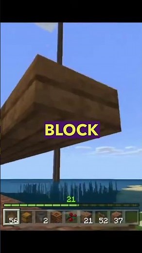 Sweet Berry Farm Minecraft