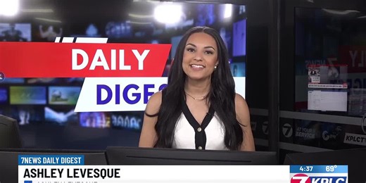 Daily Digest - 2/11/26