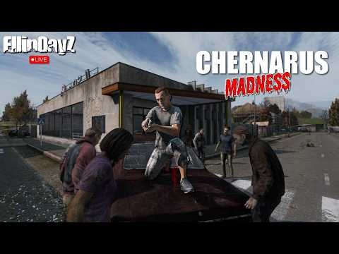 Challenge Accepted, gear up in 3 hours or less on Official Cherno | DayZ Live in 1440p
