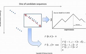 3 - 4 - 2-1-2 BLAST Algorithm- a Primer (english version) BLAST算法初探 (英文版) [13-02