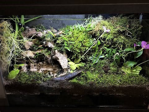 Waterfall Terrarium Build From Fluval Spec (With Custom Soil Recipe)