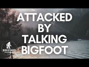 Talking BIGFOOT Attacks Couple At Campsite | Over 1 Hour SASQUATCH ENCOUNTERS PODCAST