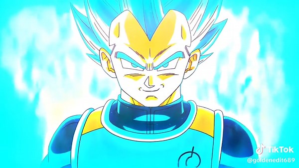 Vegeta Prince of All Saiyans in Action