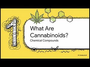 What Are Cannabinoids
