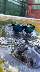 114K views · 5.3K reactions | Superstar Seven ridin through. He...